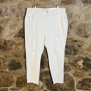 Size 20 White Distressed Women’s Hi Rise Skinny Jeans